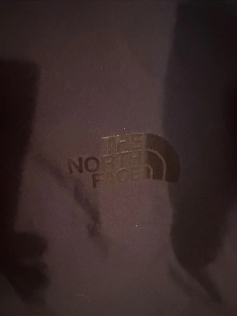 The North Face waterproof shell